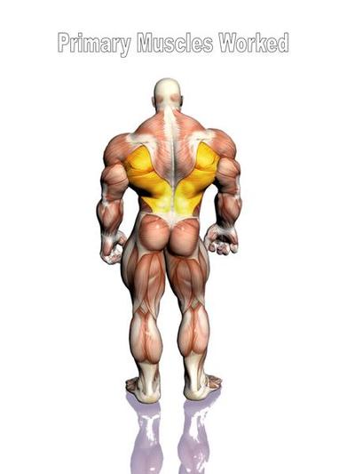 Back To Life- A Great Back Workout Request by Facebook Fans
