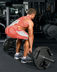 Train INTENSE within a set Muscle Group