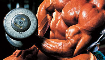Strength Profiles