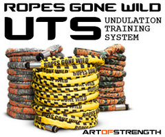 Art_of_Strength_Ropes.jpg