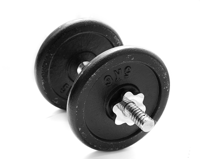Weekend Warrior Program- Chest and Arms