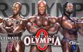 Mr olympia 2013