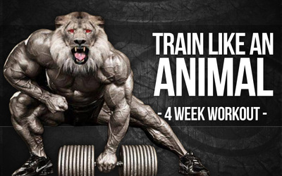 Train Like An Animal- 4 Week Workout : Workout Trainer