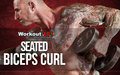 Seated Biceps Curl images