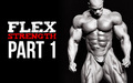 FLEX Strength- Part 1 image