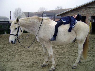 Riding Therapy or Therapeutic Riding in Burglauer