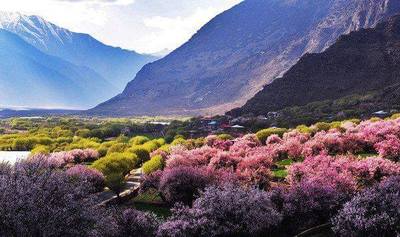 What to pay attention to when preparing a trip to Tibet